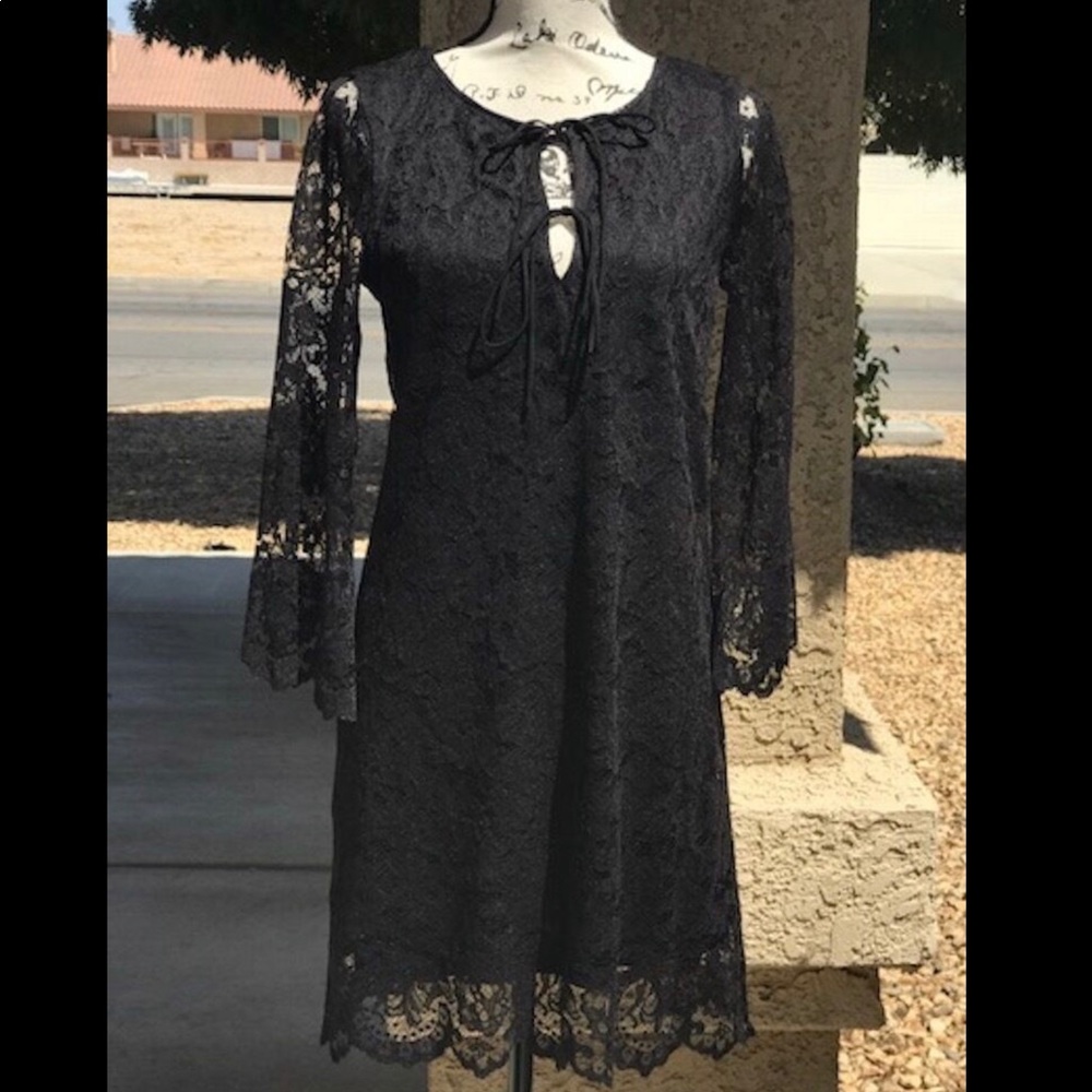 New Zara Lace Tie Up Mesh Dress Long Sleeves